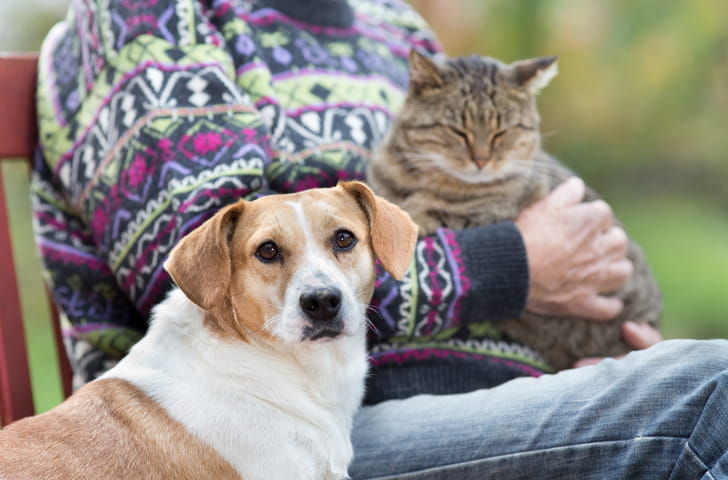 man with senior dog and cat