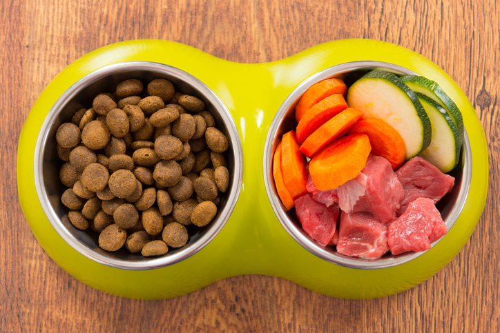 Study Reports Frequent Contamination of Raw Pet Diets by Bacteria and Parasites