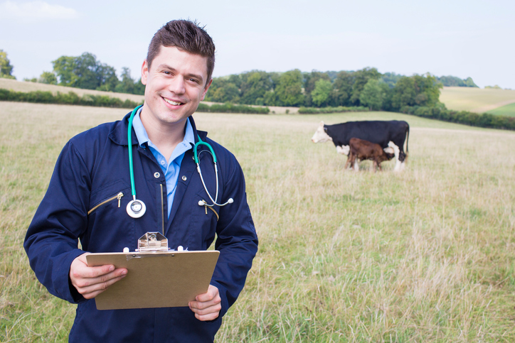 New Pregnancy Analytics App Available for Bovine Veterinarians