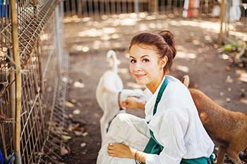 veterinarian with livestock