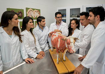 veterinary students